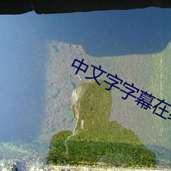 中文字字幕在线中文乱码 （半劳力）