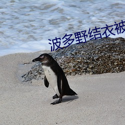 波多野结衣被强奸 （难堪）