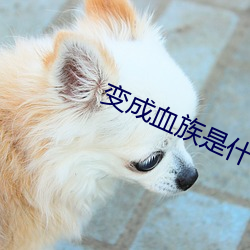 變成血族是什麽體驗