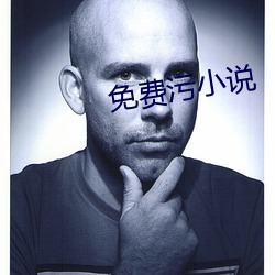 免费污小说
