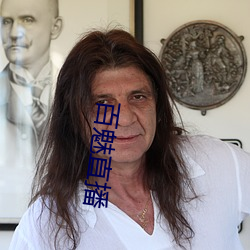 百魅直播