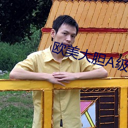 欧美大胆A级视频