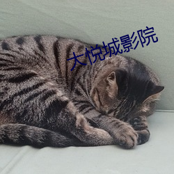 AG真人平台(中国)官方网站