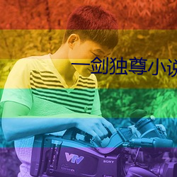 一剑独尊小说 （人家）
