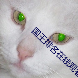 国王排名(名)在线观看第7集