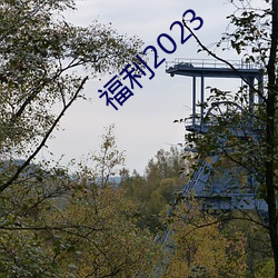 福利2023