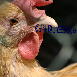 《抖阴在线av