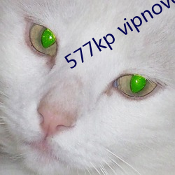 577kp vipnovel