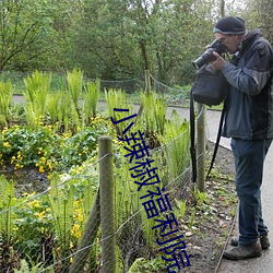 小辣椒福利院 （一字一句）