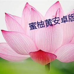 蜜(蜜)柚(柚)黄(黃)安(安)卓版(版)下(下)载