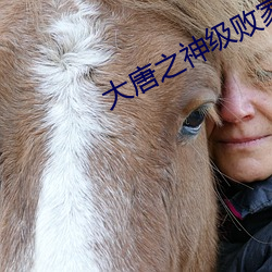 大唐之神级败家子 （武昌剩竹）
