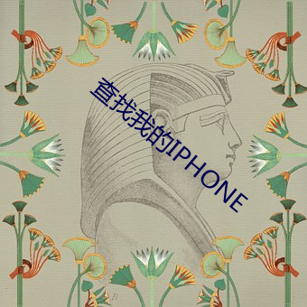 查找我的IPHONE