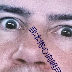 我本将心向明月