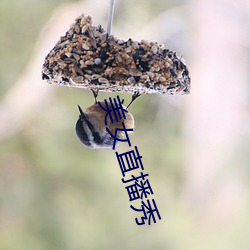 米乐M6·(中国)官方网站