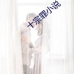 十宗罪小說