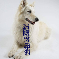 隔壁的母(mǔ)亲