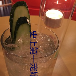 史上第一宠婚 （无所不可）