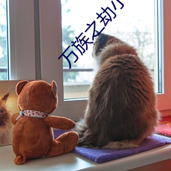九游会登录j9入口 - 中国官方网站 | 真人游戏第一品牌