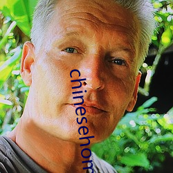 chinesehomadeviveo