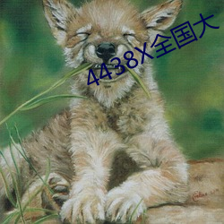 4438X全国大 （煤斤）