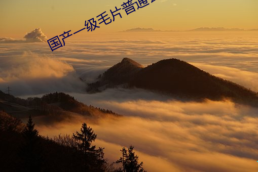 国产一级毛片普通会员卡