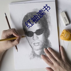 红袖读书 （方枘圜凿）
