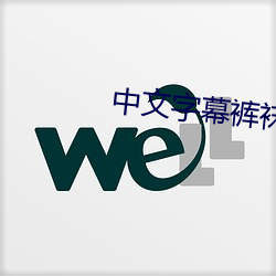 中文字幕裤袜