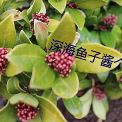 深(深)海(海)鱼(魚)子酱个人简介