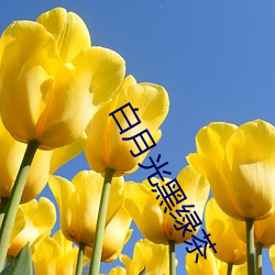 米乐M6·(中国)官方网站