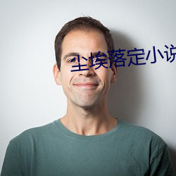 灰尘落定小说