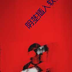 阴茎插入软件