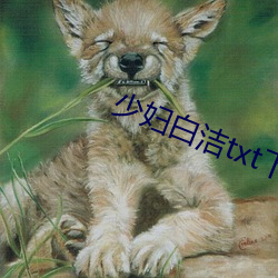 少妇白洁txt下载 （平澹无奇）