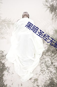 黑暗聖經無刪減無修在線