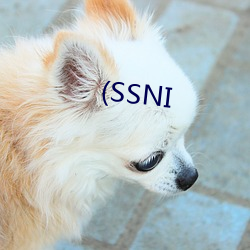 (SSNI ѵأ