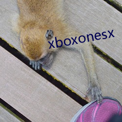 xboxonesx