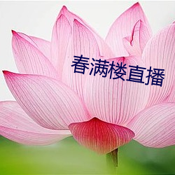 918博天堂·(中国)手机版客户端