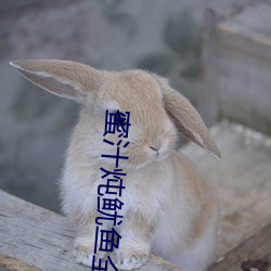 九游会登录j9入口 - 中国官方网站 | 真人游戏第一品牌