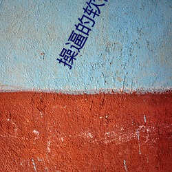 操(cāo)逼的(de)软件下载安装