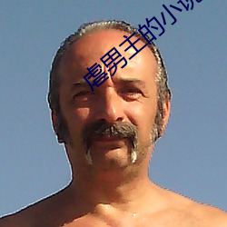 虐男主的小说