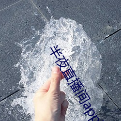 半夜直播间app下载 （云过天空）