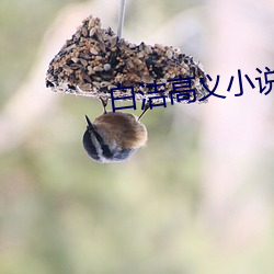 金年会(中国)官方网站