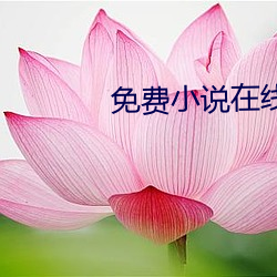 米乐M6·(中国)官方网站