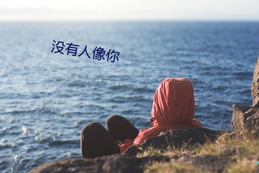 没有人像你(nǐ)