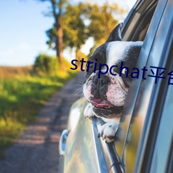 stripchat平(píng)台主播