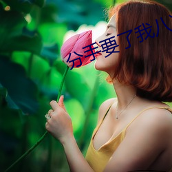 分手要了我八次