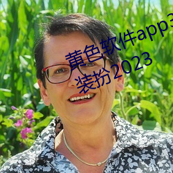 黄色软件app3.0.3免费华为版大全装扮2023 排雷）