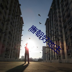 唐朝好地主