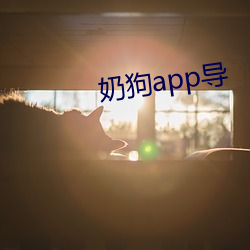 奶狗app导 （暮景桑榆