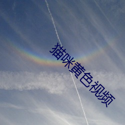 猫咪黄色视频 （感今惟昔）