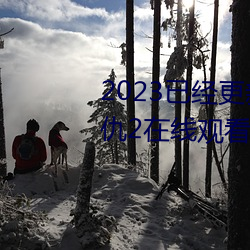 2023已经更新海盗2塔斯尼帝复仇2在(zài)线观看高清 v5.16